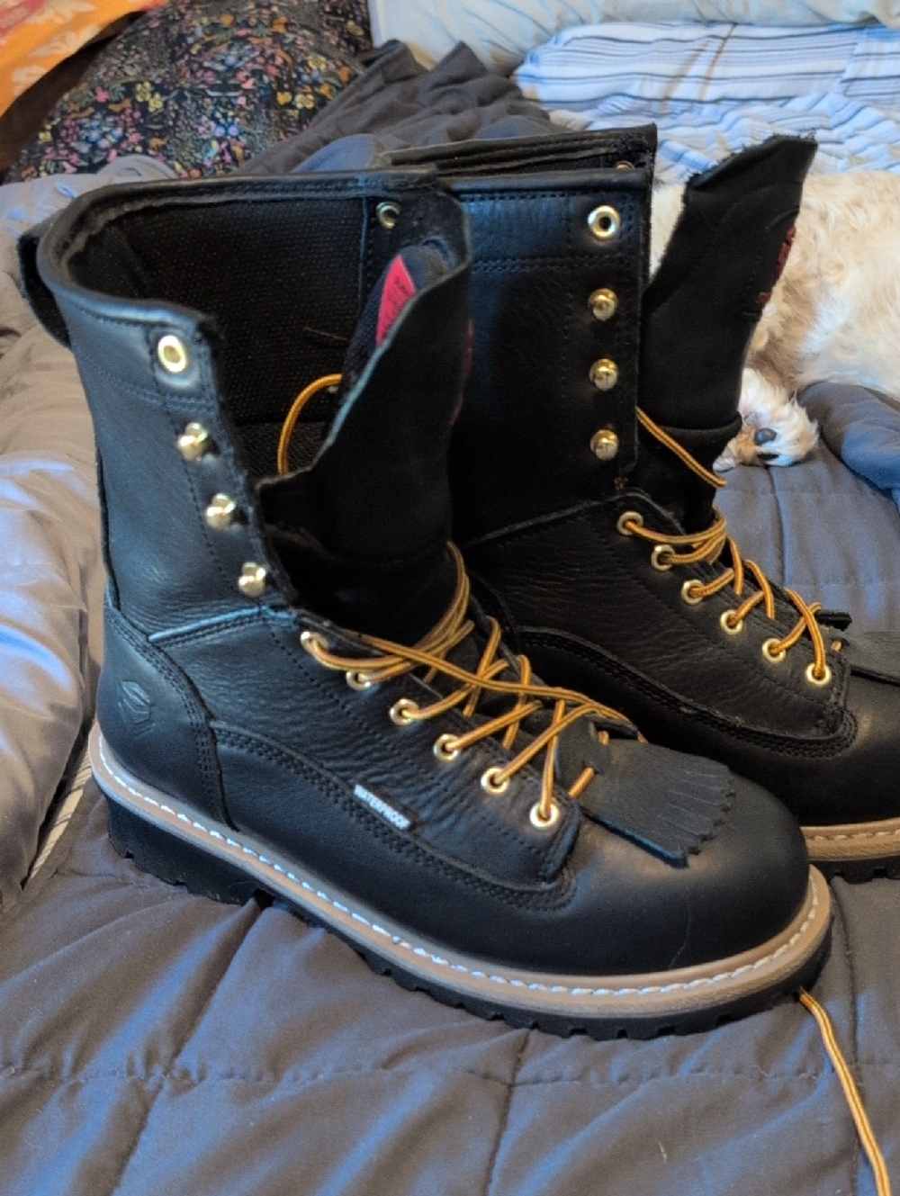 Sureway Men's Black Leather Steel Toe Work Boots with Gold Eyelets Size 9